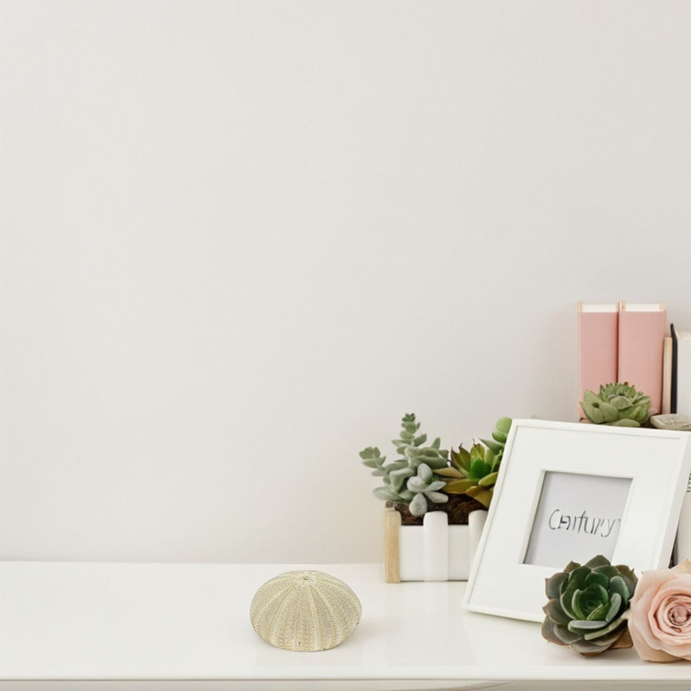 เปลือกหอยเม่น 18 ชิ้น สำหรับตก - Art Craft Project บทวิจารณ์และราคา